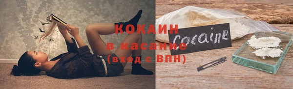 мяу мяу мука Бородино