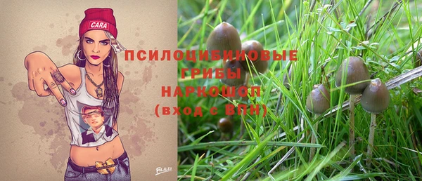 а пвп мука Бердск