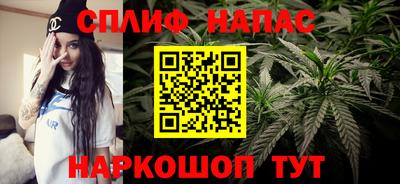 стаф Балахна
