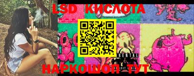 ПСИЛОЦИБИНОВЫЕ ГРИБЫ Беслан