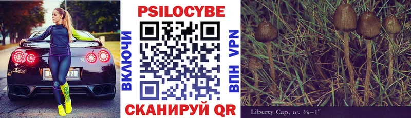 дарнет шоп  KRAKEN ССЫЛКА  Псилоцибиновые грибы MAGIC MUSHROOMS  Видное 