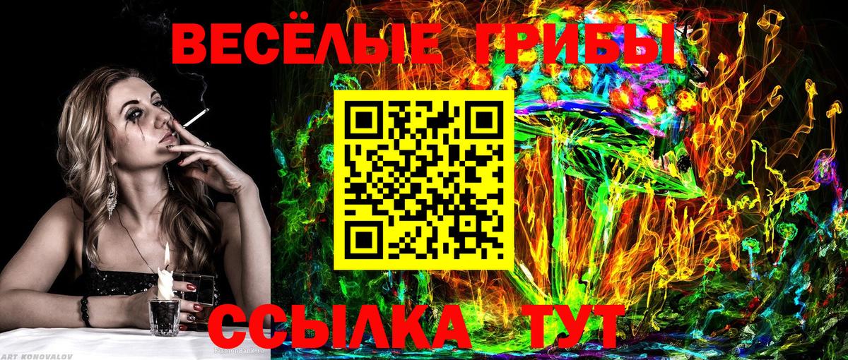 Видное  Галлюциногенные грибы прущие грибы  Вход с VPN 