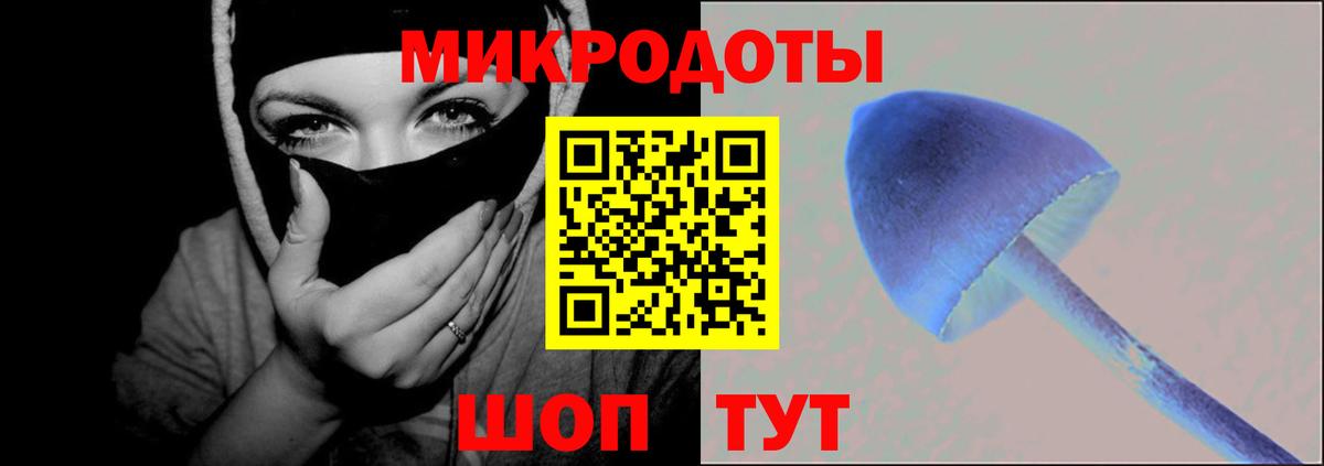 Псилоцибиновые грибы Cubensis  Видное  Галлюциногенные грибы мухоморы 